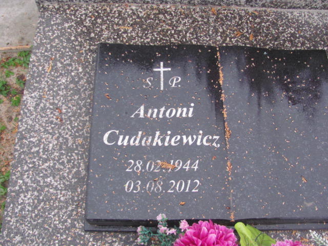 Marianna Serwach 1870 Paprotnia - Grobonet - Wyszukiwarka osób pochowanych