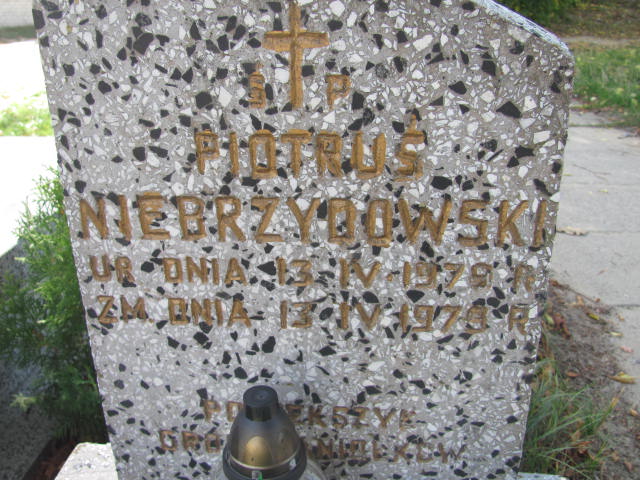 Piotr Niebrzydowski 1979 Paprotnia - Grobonet - Wyszukiwarka osób pochowanych