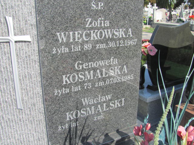 Grób Wacław  Kosmalski